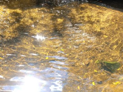cachoeira-azevedo-moeda-mg-cachoeiras-bh-recanto-do-bem-5