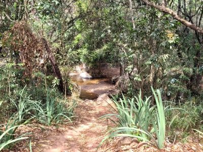 cachoeira-azevedo-moeda-mg-cachoeiras-bh-recanto-do-bem-8